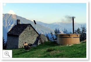 Tinozza in legno Mistel da esterno - immagine 1