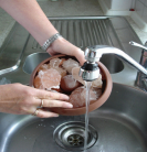 Erbe per distillatore di cristalli di sale