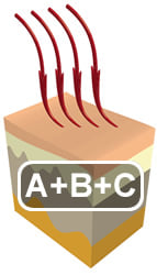 saune_infrarossi_kit_raggi_A_B_C.jpg