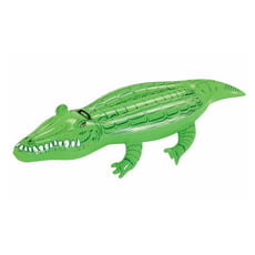 Coccodrillo gonfiabile cavalcabile Coccodrillo gonfiabile cavalcabile